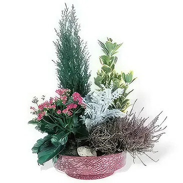 fiorista fiori di Laval- Coppa di piante verdi e fiori Addio Eterna Bouquet floreale