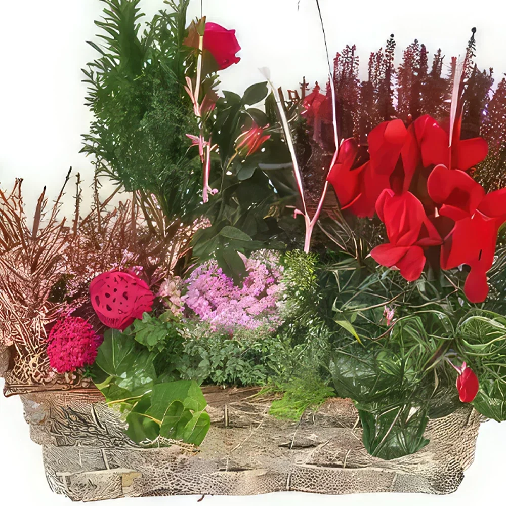 Tarbes cvijeća- Šalica zelenih i crvenih biljaka Morphée Cvjetni buket/aranžman