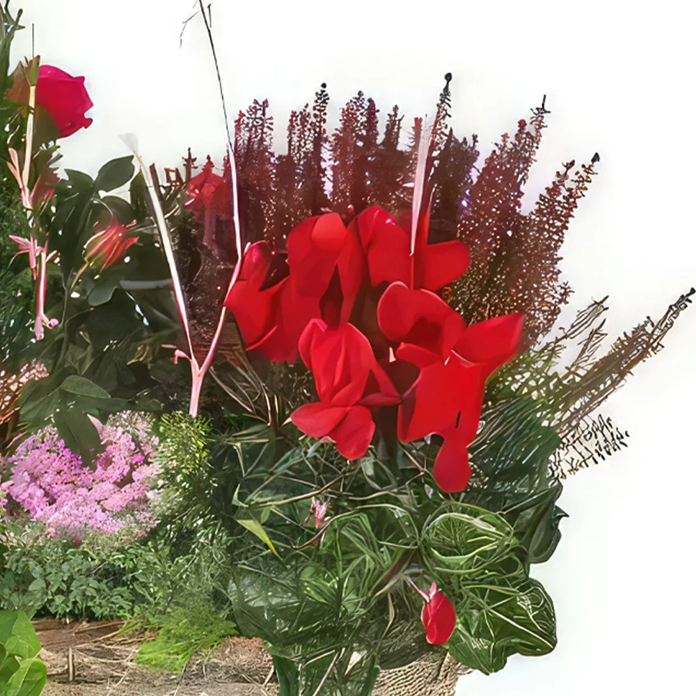 Lyon bunga- Secangkir tanaman hijau & merah Morphée Rangkaian bunga karangan bunga