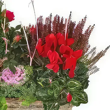 Marseille blomster- Kop grønne og røde planter Morphée Blomst buket/Arrangement