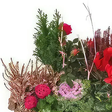 Marseille blomster- Kop grønne og røde planter Morphée Blomst buket/Arrangement