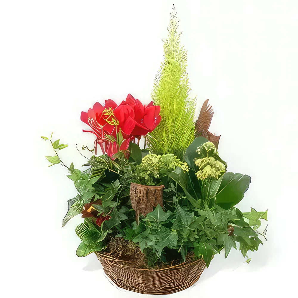 بائع زهور نانت- كوب من النباتات الخضراء والأحمر Rêve Floral باقة الزهور
