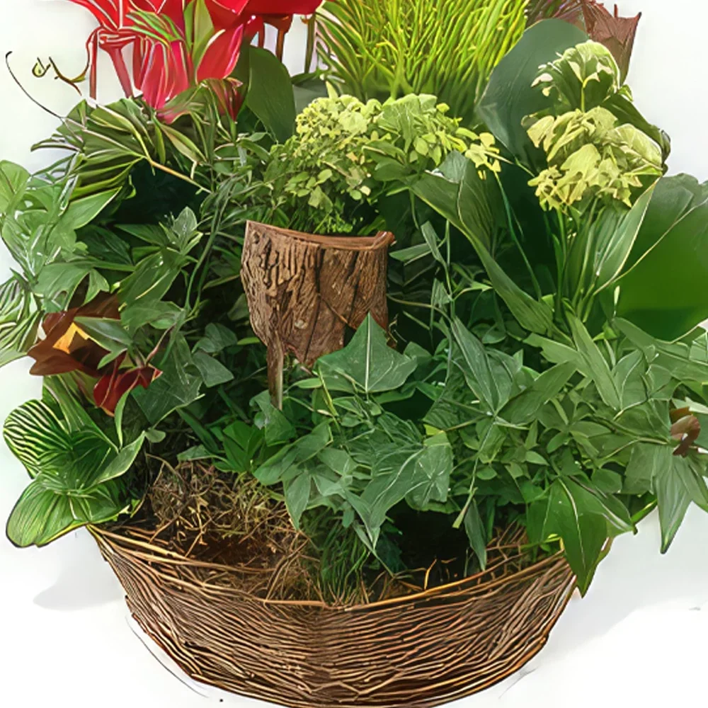 بائع زهور مونبلييه- كوب من النباتات الخضراء والأحمر Rêve Floral باقة الزهور