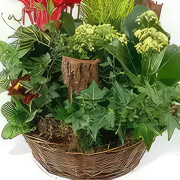 Bayonne flowers  -  Cup of green & red plants Rêve Floral Flower Bouquet/Arrangement