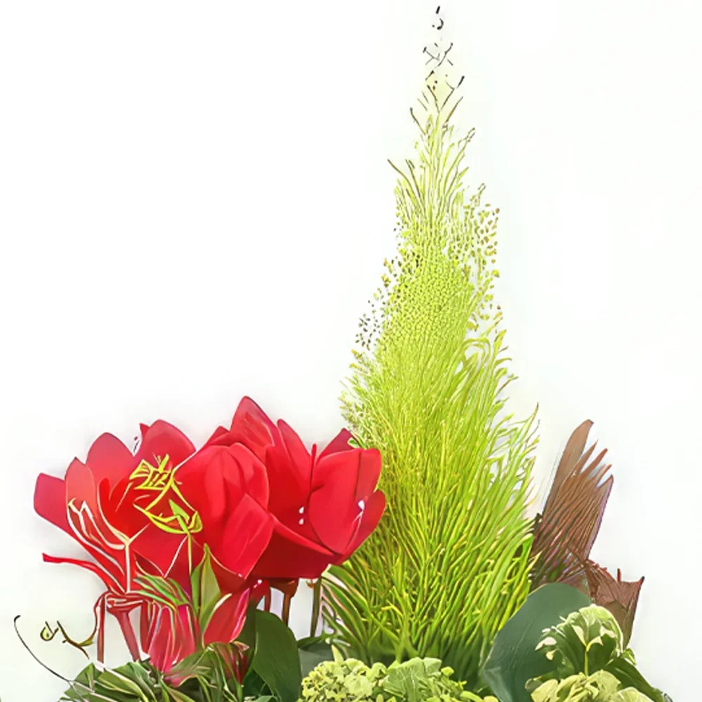 بائع زهور نانت- كوب من النباتات الخضراء والأحمر Rêve Floral باقة الزهور