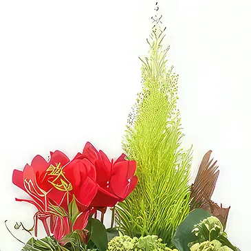 Bayonne flowers  -  Cup of green & red plants Rêve Floral Flower Bouquet/Arrangement