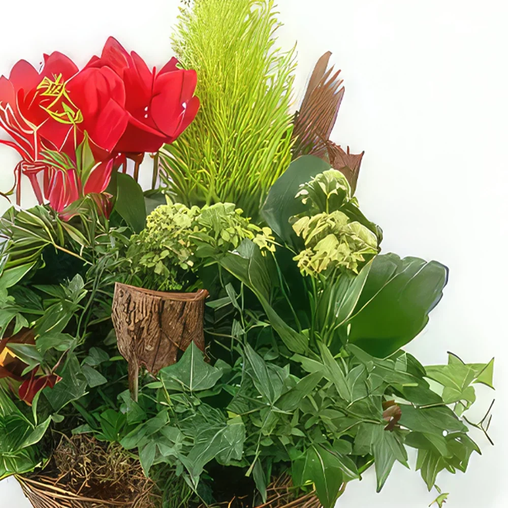 ナント 花- 緑と赤の植物のカップRêveFloral 花束/フラワーアレンジメント