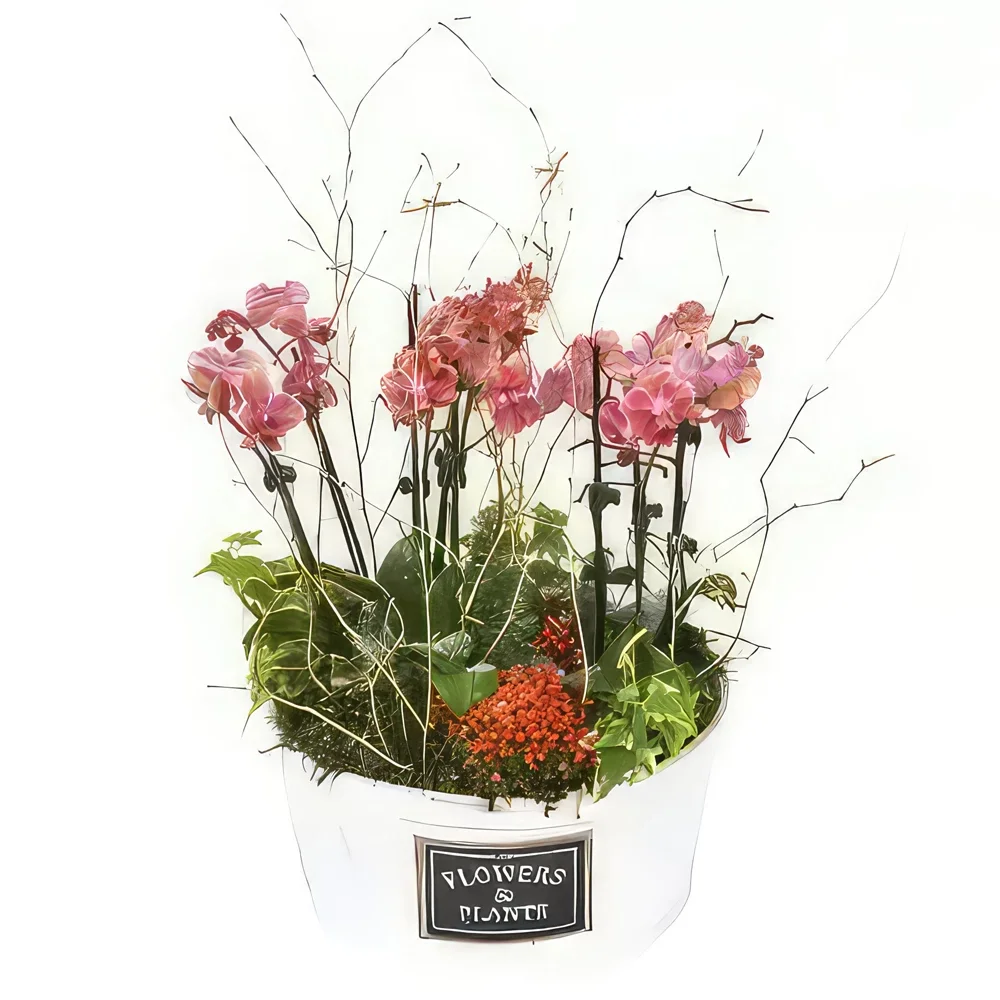 fleuriste fleurs de Bordeaux- Coupe de mini orchidées Miss Eglantine Bouquet/Arrangement floral