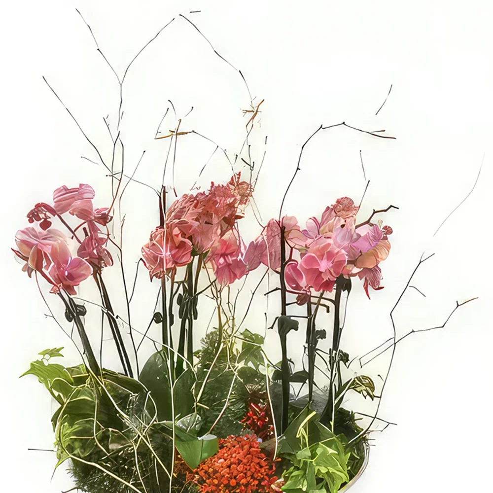 flores Marsella floristeria -  Taza de mini orquídeas Miss Eglantine Ramo de flores/arreglo floral