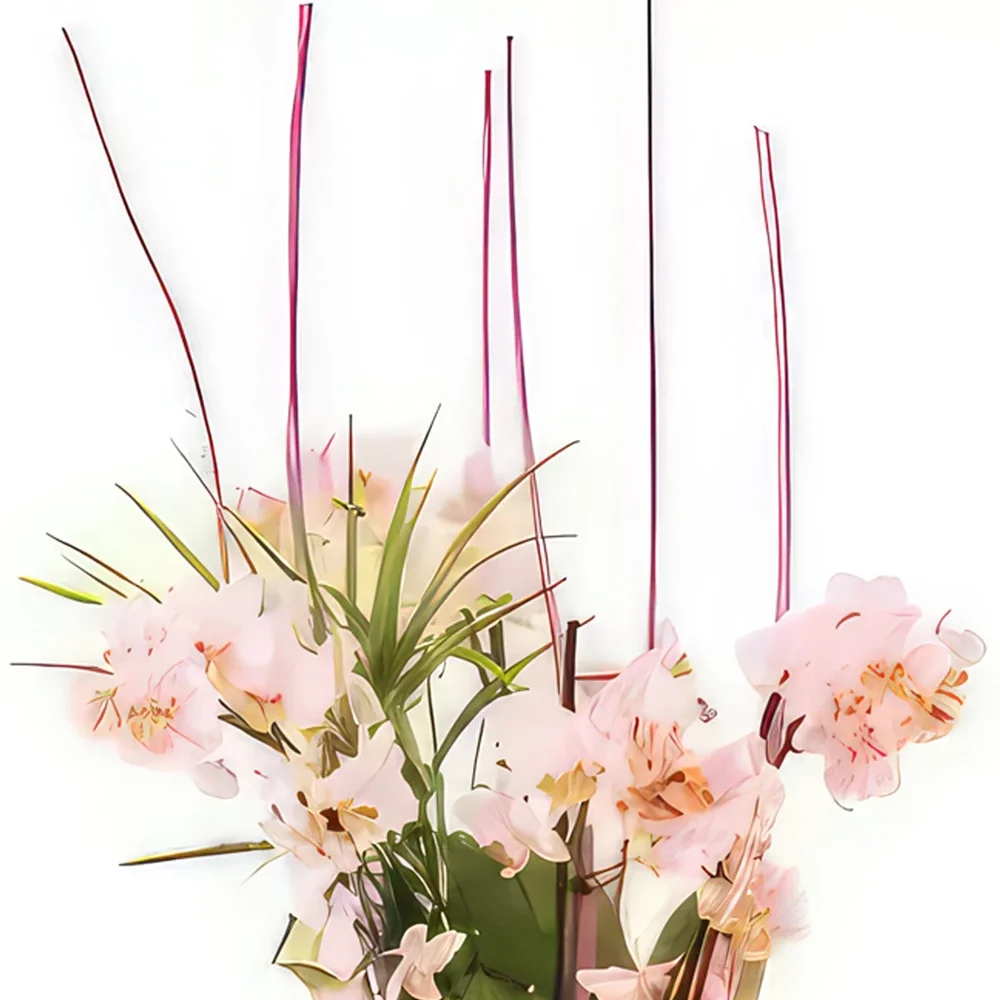 flores Marsella floristeria -  Taza de mini orquídeas Sweety Ramo de flores/arreglo floral