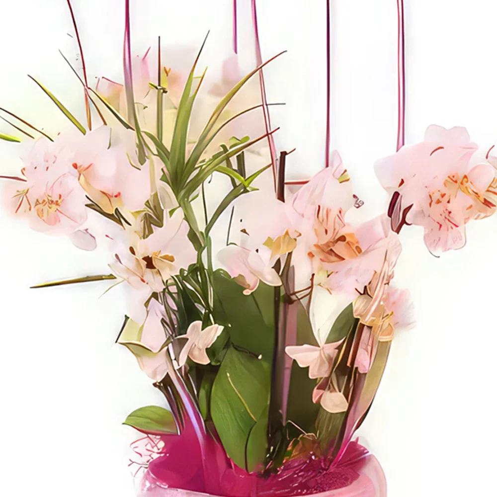 flores Marsella floristeria -  Taza de mini orquídeas Sweety Ramo de flores/arreglo floral