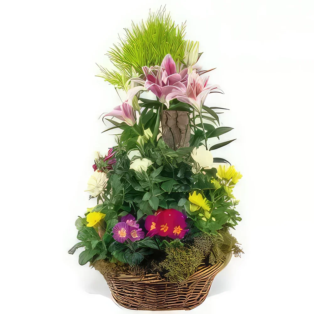 بائع زهور نانت- كوب نباتات الحداد السمفونية باقة الزهور