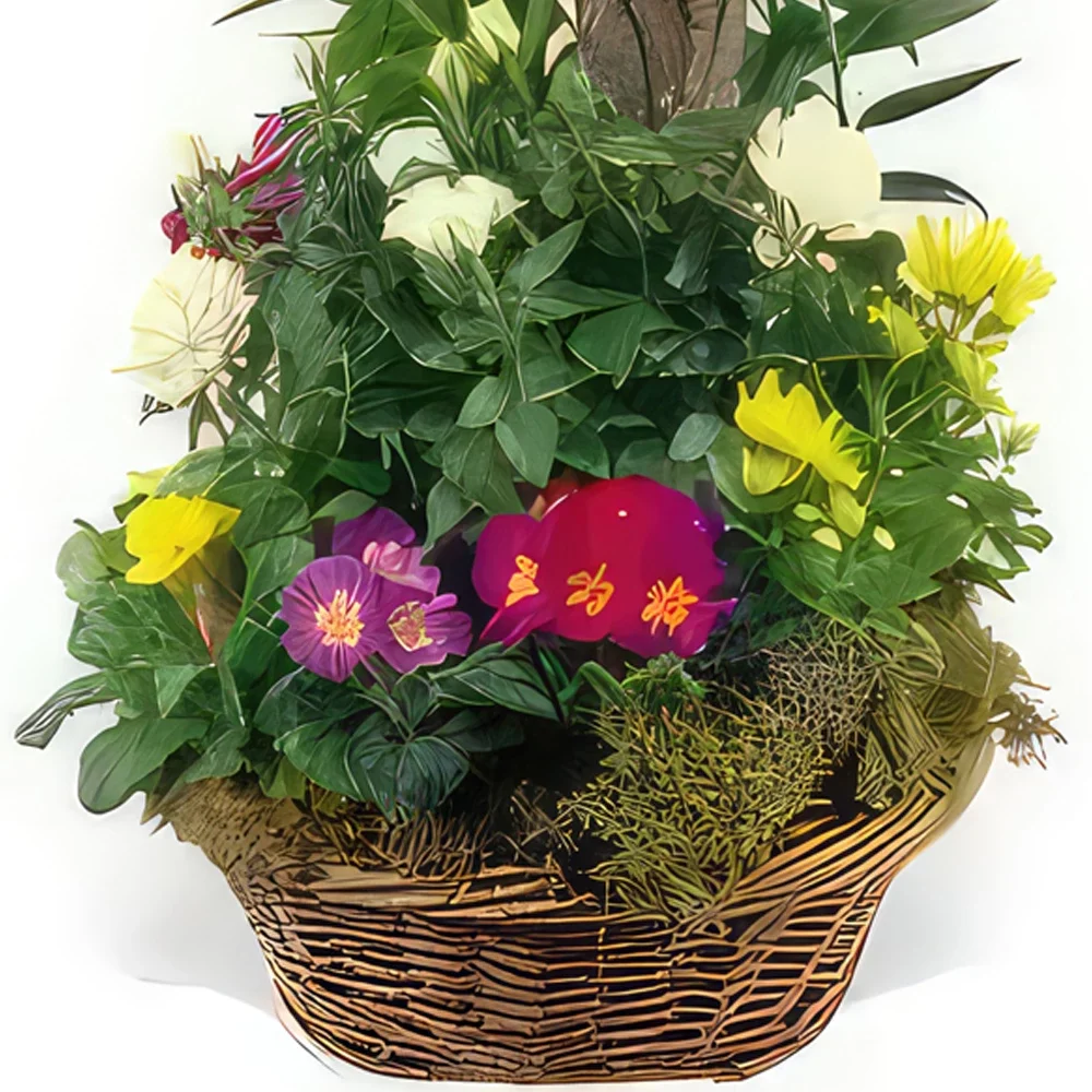 fiorista fiori di bordò- Coppa di piante da lutto Symphony Bouquet floreale