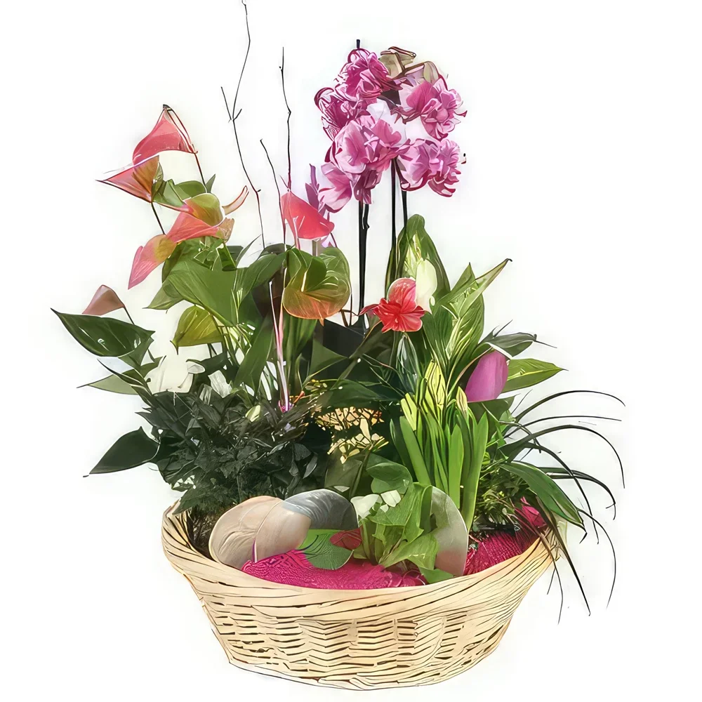 Нант цветя- Чаша с растения The Flower Palace Букет/договореност цвете