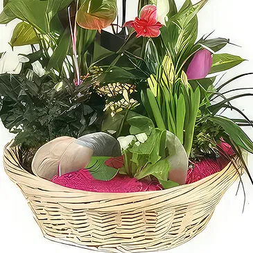 Bayonne flowers  -  Cup of plants The Flower Palace Flower Bouquet/Arrangement