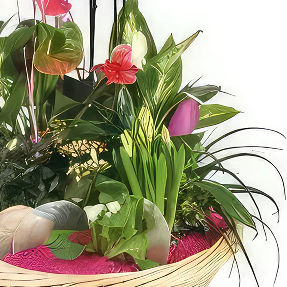 リヨン 花- 一杯の植物フラワーパレス 花束/フラワーアレンジメント