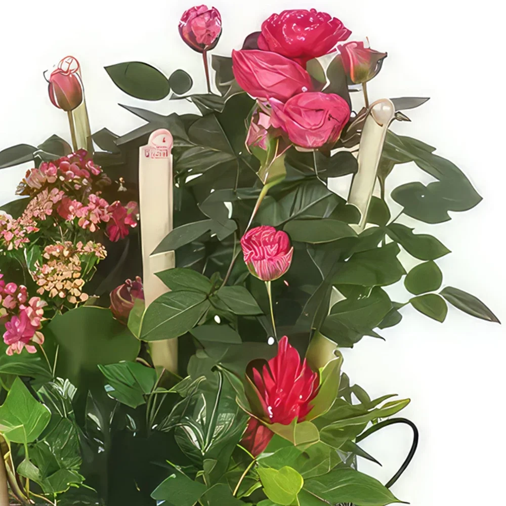 nett Blumen Florist- Tasse Pflanzen Der Jardin d'Italie Bouquet/Blumenschmuck