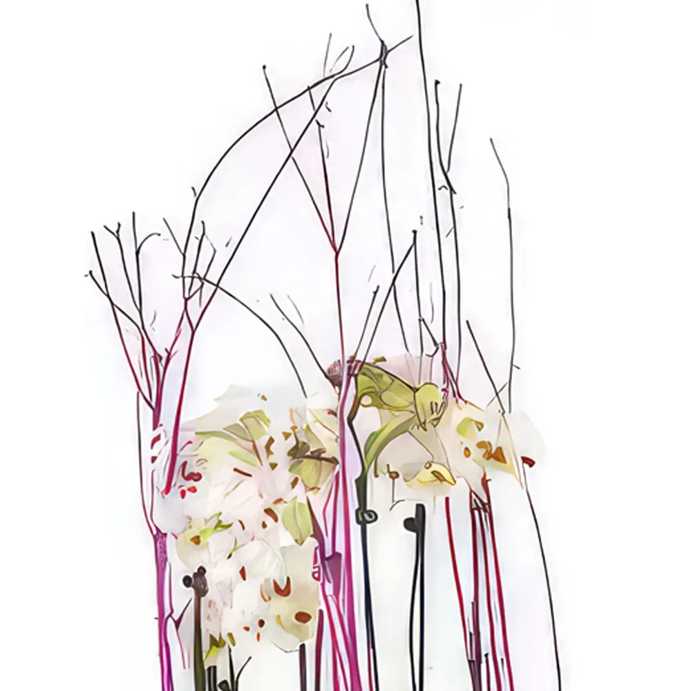 Toulouse kukat- Kuppi valkoisia orkideoita Comtesse de Ségur Kukka kukkakimppu