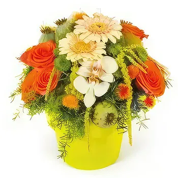France flowers  -  Cute round composition Flower Delivery