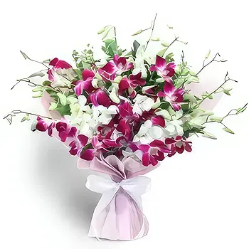 United Arab Emirates flowers  -  Cutie Pie Orchids Flower Delivery