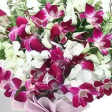 Downtown dubai flowers  -  Cutie Pie Orchids Flower Bouquet/Arrangement