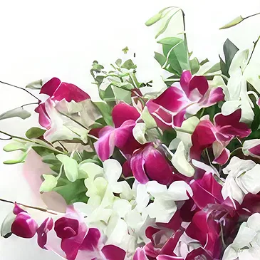 Downtown dubai flowers  -  Cutie Pie Orchids Flower Bouquet/Arrangement