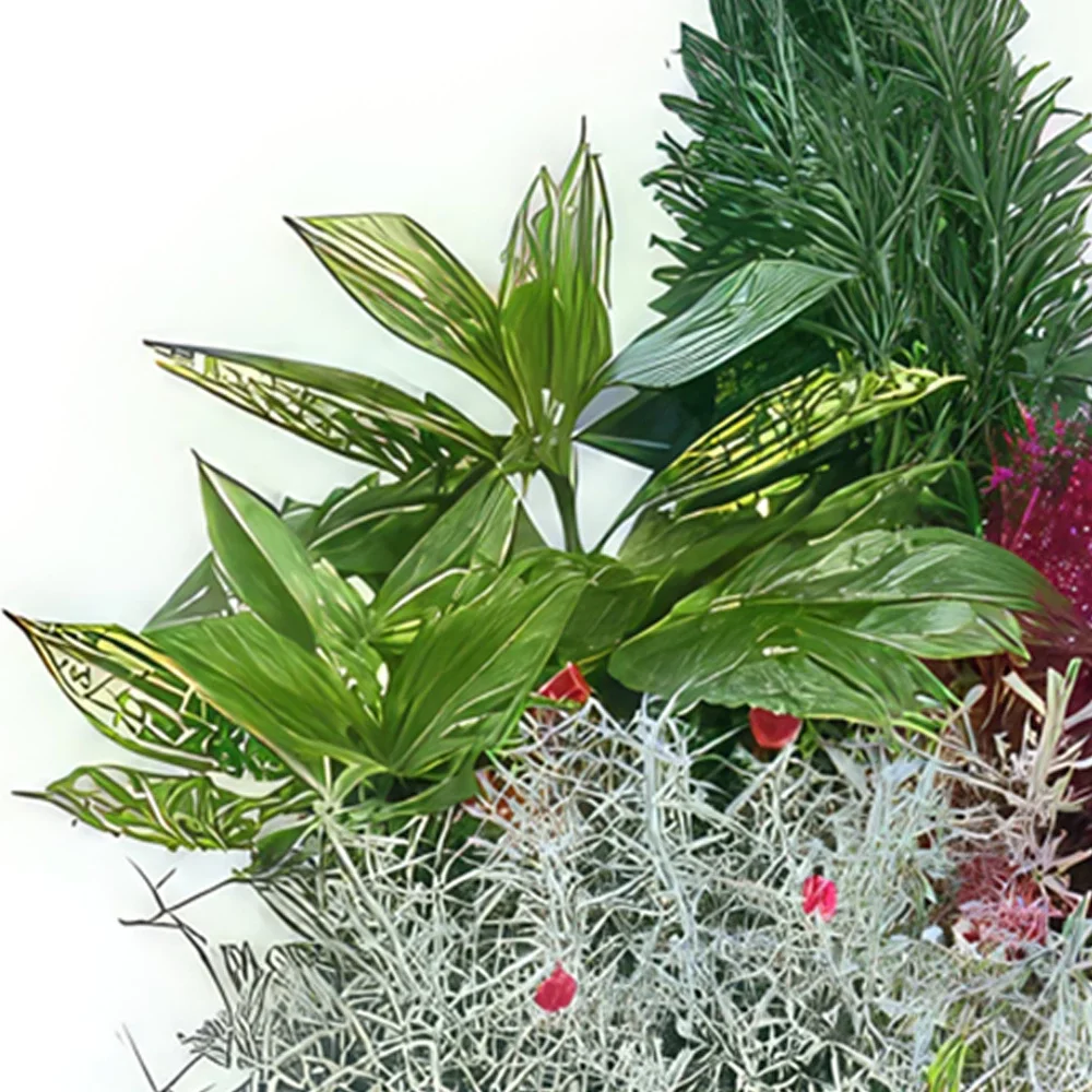 بائع زهور تولوز- قطع النباتات الخضراء في الهواء الطلق باقة الزهور