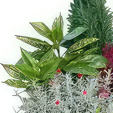 fiorista fiori di Laval- Taglio di piante verdi da esterno Bouquet floreale