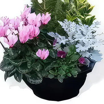 fiorista fiori di Laval- Tagliare piante da esterno Bouquet floreale