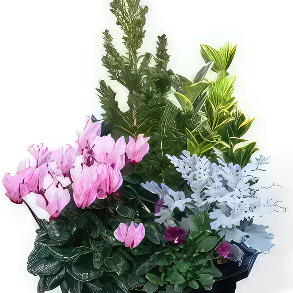 ליל פרחים- חיתוך צמחי חוץ זר פרחים/סידור פרחים