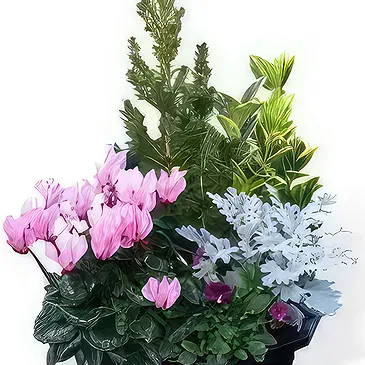 fiorista fiori di Laval- Tagliare piante da esterno Bouquet floreale