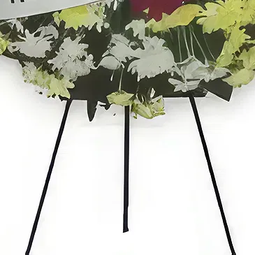Napitupulu Bagasan flowers  -  Mixed Daisies Wreath For Funeral Flower Bouquet/Arrangement