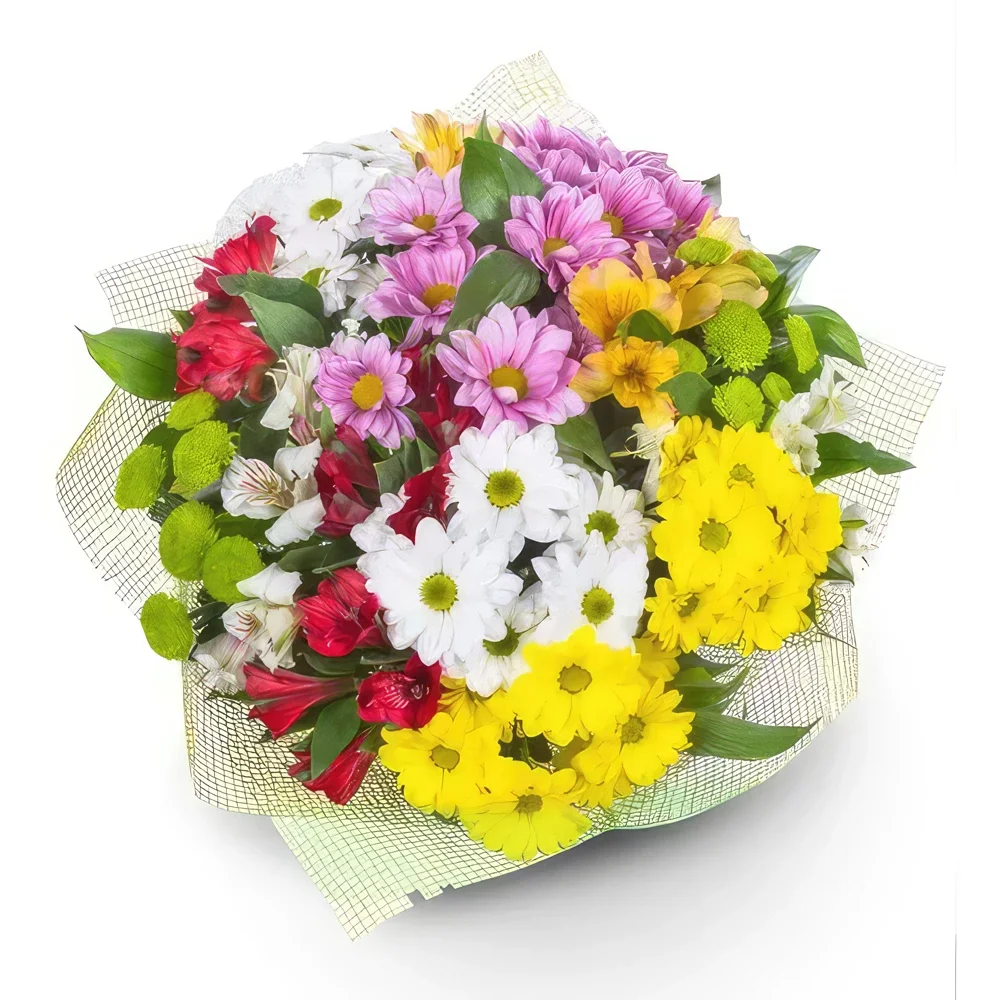 Benalmadena blomster- Eclectic Daisy Collection Blomsterarrangementer bukett