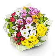 Cala Llonga online Florist - Eclectic Daisy Collection Bouquet