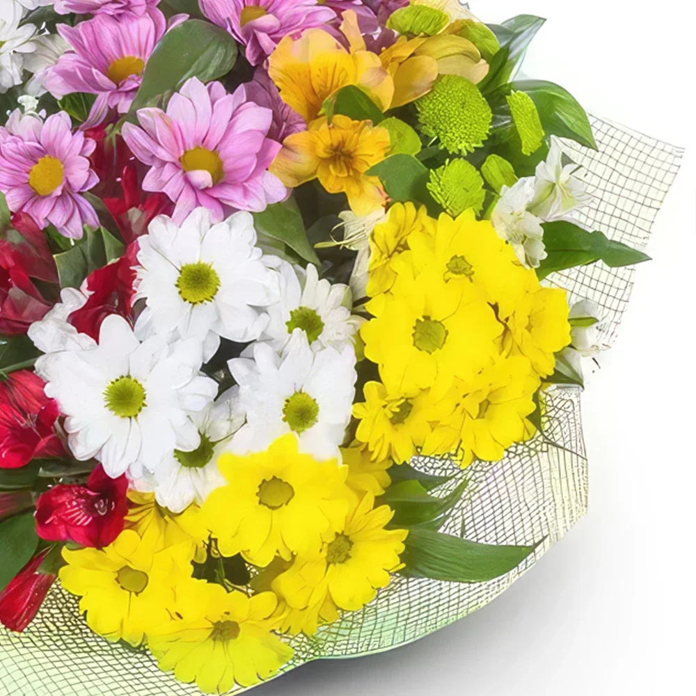 Benalmadena blomster- Eclectic Daisy Collection Blomsterarrangementer bukett