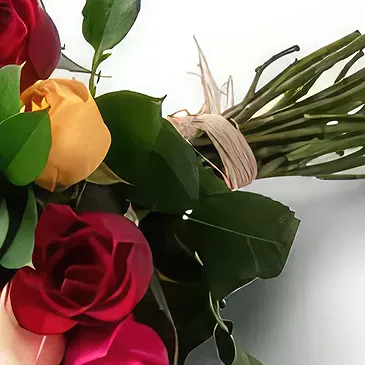 Chile flowers  -  Bouquet of 24 Colorful Roses Flower Bouquet/Arrangement