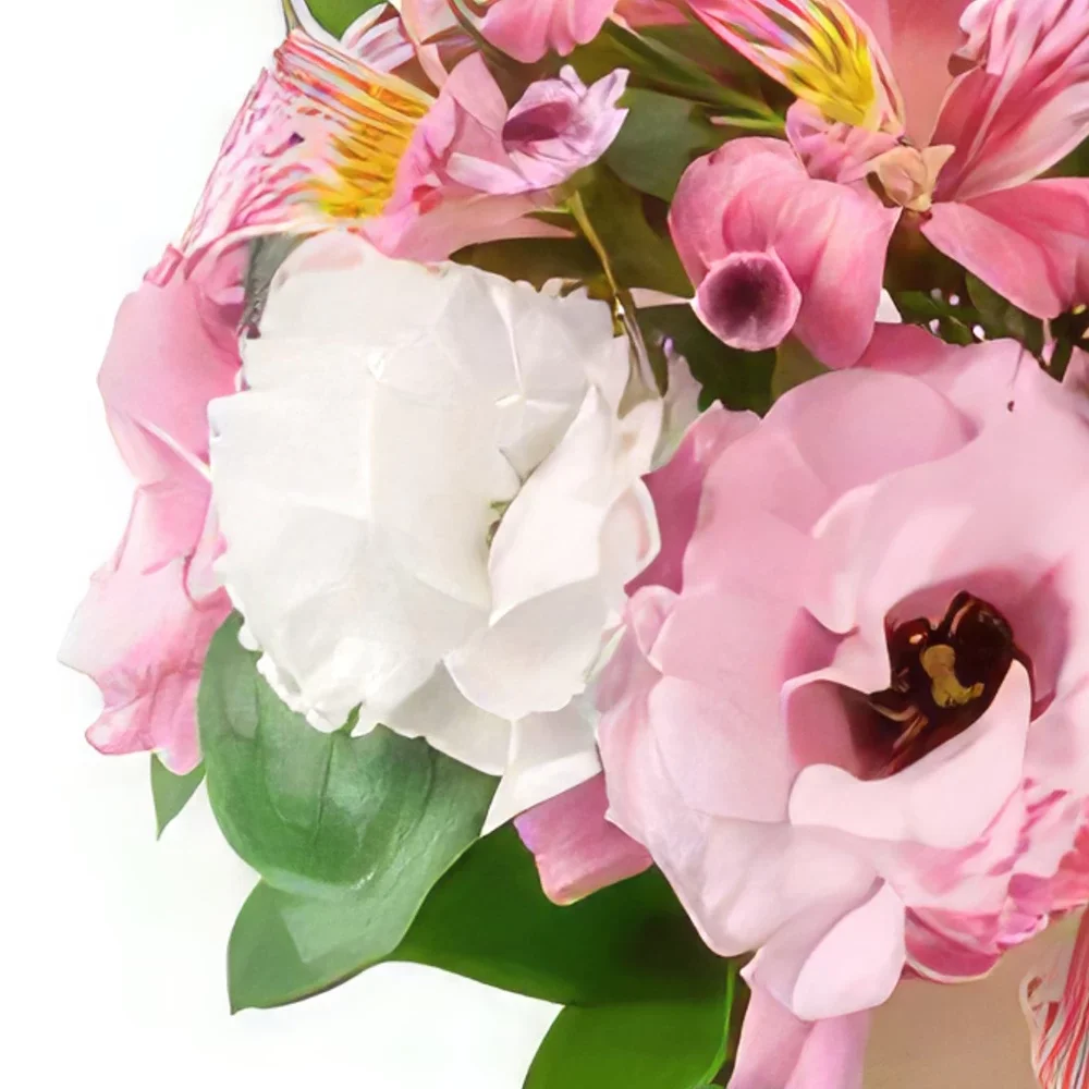 サンパウロ 花- カーネーション、バラ、アストロネリアのアレンジメント 花束/フラワーアレンジメント