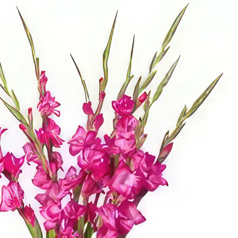 利莫纳尔 花- 粉红色的夏天爱 花的花束安排