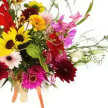 Ouled Maaref flowers  -  Like a summer air Flower Bouquet/Arrangement