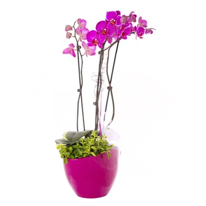 flores Italia floristeria -   Ramo de flores/arreglo floral