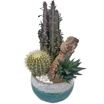 Cala Llonga flowers  -  Decorative Pot Flower Delivery