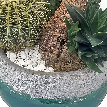 Spain flowers  -  Decorative Pot Flower Bouquet/Arrangement