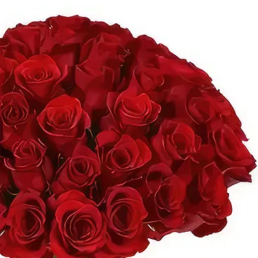 Großbritannien Blumen Florist- Hinreißende Romanze Bouquet/Blumenschmuck