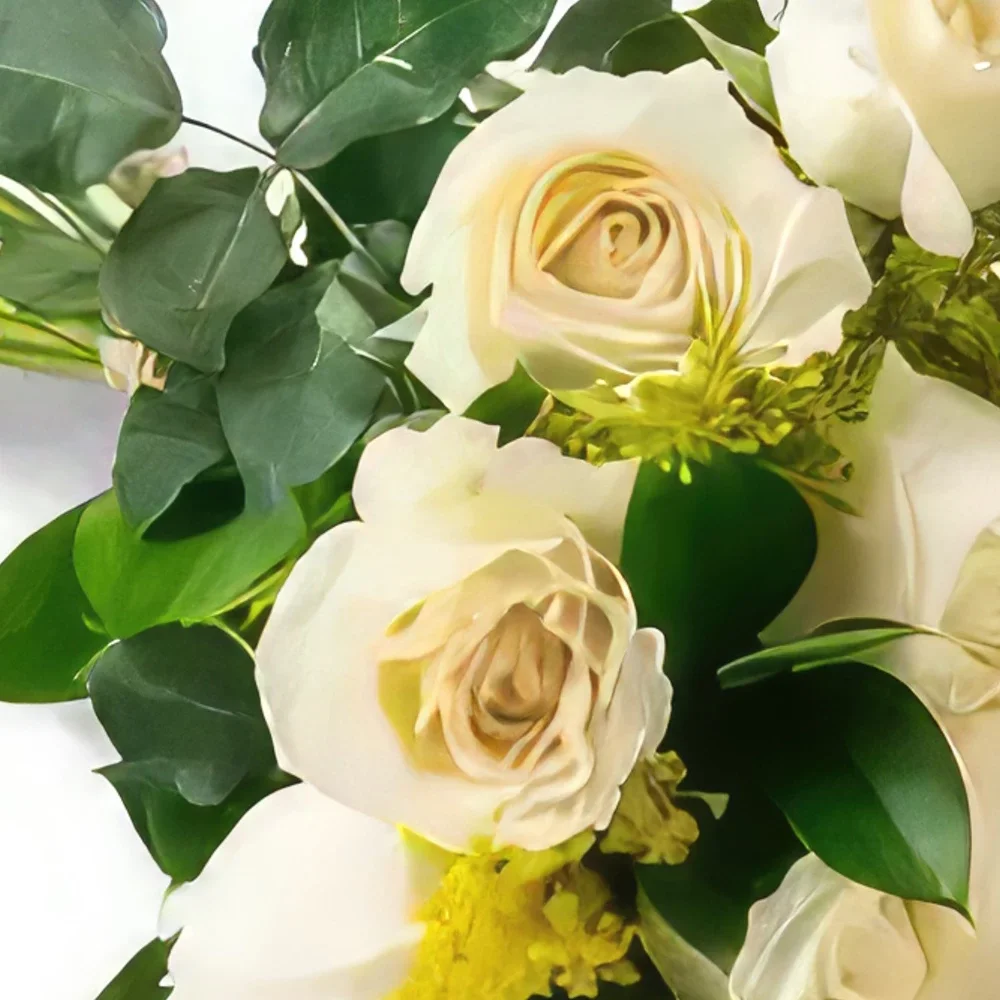 Manauс cveжe- Buket od 15 belih ruža i lišća Cvet buket/aranžman