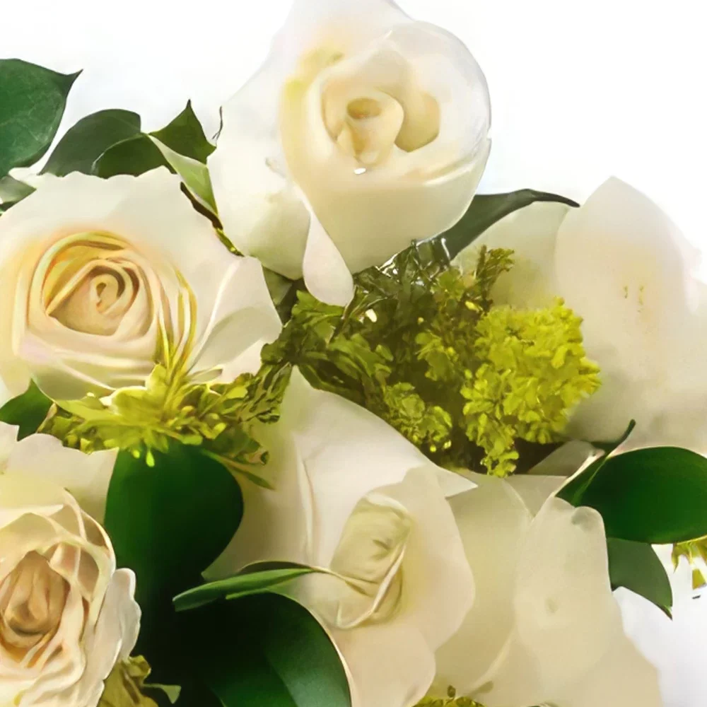 fortaleza kukat- Kimppu 15 valkoista ruusua ja lehtiä Kukka kukkakimppu