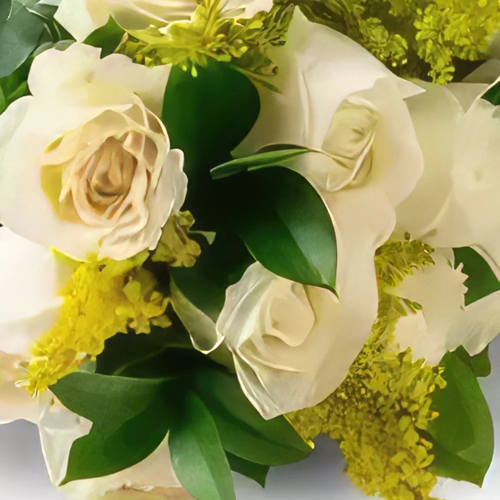 Manauс cveжe- Buket od 15 belih ruža i lišća Cvet buket/aranžman