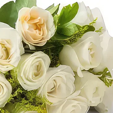 Chile flowers  -  Bouquet of 19 White Roses Flower Bouquet/Arrangement