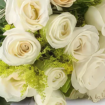 Chile flowers  -  Bouquet of 19 White Roses Flower Bouquet/Arrangement