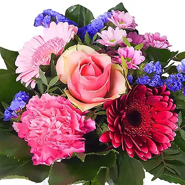 Amsterdam-Zuidoost flowers  -  Radiant Red Flower Bouquet/Arrangement