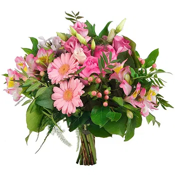 San Marino flowers  -  Bouquet of pink flowers with berries Delivery